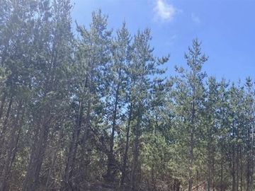 Parcela en venta en Pichilemu