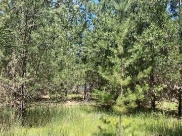 Parcela en venta en Pichilemu