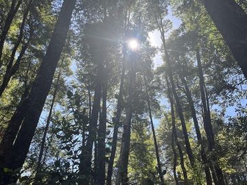 Parcela en venta en Pichilemu