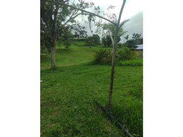 SE VENDE CASA CAMPESTRE EN LA CUMBRE REA 9.900 M2