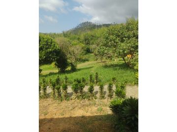 SE VENDE CASA CAMPESTRE EN LA CUMBRE REA 9.900 M2