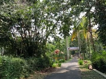 Tanah Luas Dijual Lokasi di Desa Wisata Kadisobo