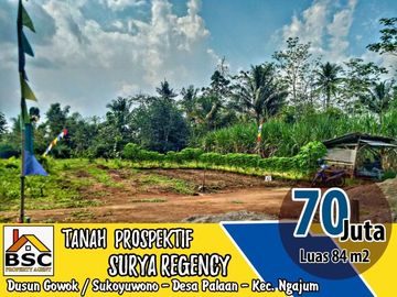 Jual Tanah Kavling Lokasi di Desa Palaan - Kec. Ngajum
