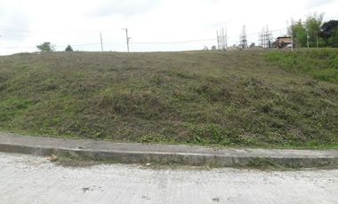 237 Sqm CORNER LOT For Sale in Pulangbato Cebu City near Talamban