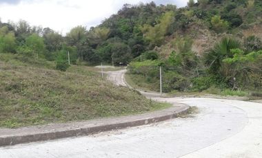 237 Sqm CORNER LOT For Sale in Pulangbato Cebu City near Talamban