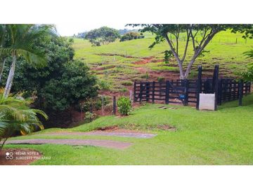 VENTA FINCA, TARSO SUROESTE ANTIOQUEÑO