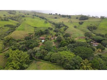 VENTA FINCA, TARSO SUROESTE ANTIOQUEÑO