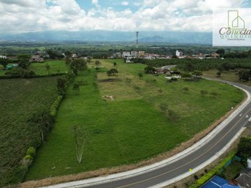 Finca La Primavera – Venta – Pueblo Tapao, Quindío