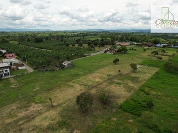 Finca La Primavera – Venta – Pueblo Tapao, Quindío