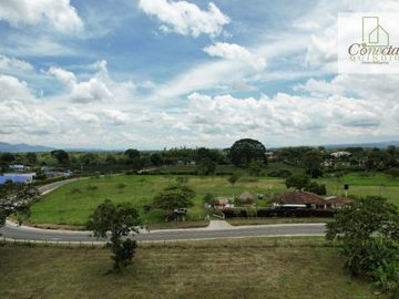 Finca La Primavera – Venta – Pueblo Tapao, Quindío