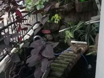 Rumah Nyaman di Antapani