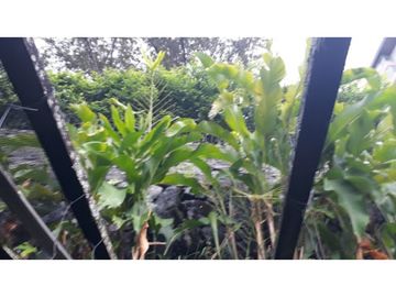 VENDE LOTE SANTA TERESITA CALI