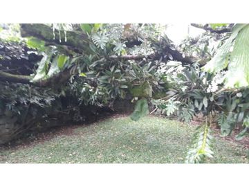 VENDE LOTE SANTA TERESITA CALI