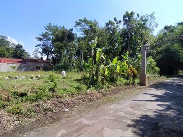 Rumah Premium Etnik Limasan di Prambanan dekat pintu Tol