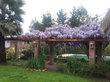 Parcela en Venta en Panguilemo