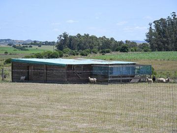 Chacra de 5 ha en  Maldonado 3 casas 6 dormitorios, Pueblo Edén