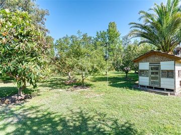 Parcela en venta, Calera de Tango, 5000 mts2, casa, 7 dorm.