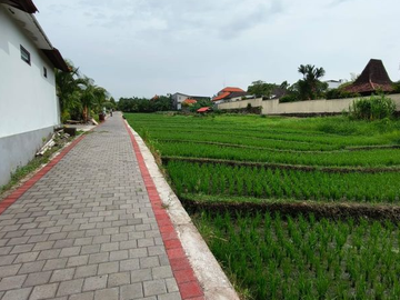 VILLA MODERN WITH RICE VIEW DI CANGGU BADUNG