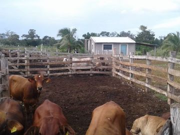 RANCHO GANADERO EN VENTA, MUY BUENA UBICACIÓN.