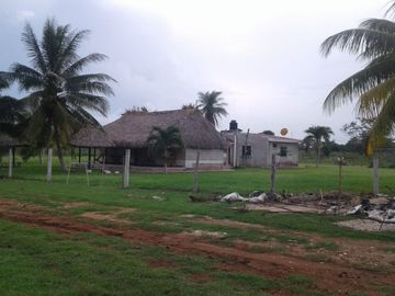 RANCHO GANADERO EN VENTA, MUY BUENA UBICACIÓN.