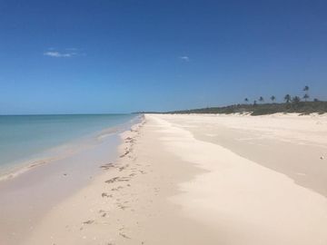 Terreno Frente Al Mar en el Hermoso Pueblo Mágico de Sisal, Ideal para Proyecto Turístico