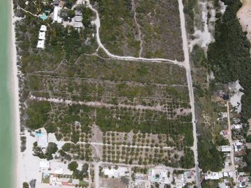 Terreno Frente Al Mar en el Hermoso Pueblo Mágico de Sisal, Ideal para Proyecto Turístico