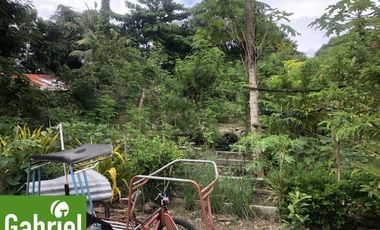 Residential Lot for Sale in Cordova, ideal for pocket subdivision