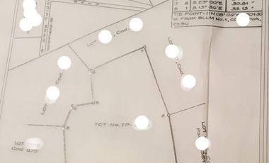 Residential Lot for Sale in Cordova, ideal for pocket subdivision