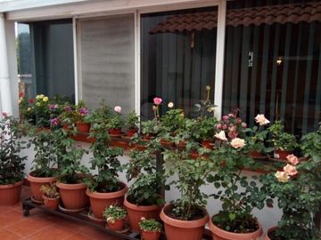 Casa sola en venta en Santiago Cuautlalpan / Texcoco (México)