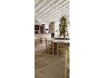QUINTA URBANA - ANTIGUA CASONA CON SALON DE FIESTA-GRAN PARQUE