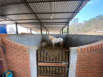 RANCHO EN EXPLOTACIÓN EN EL KM 29 OCOzOCOAUTLA - VILLAFLORES