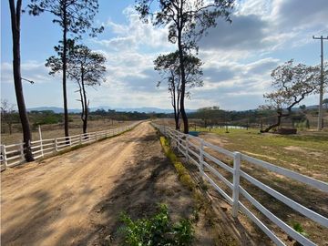 RANCHO EN EXPLOTACIÓN EN EL KM 29 OCOzOCOAUTLA - VILLAFLORES