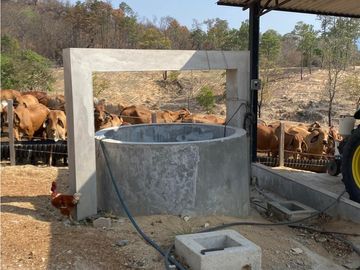 RANCHO EN EXPLOTACIÓN EN EL KM 29 OCOzOCOAUTLA - VILLAFLORES
