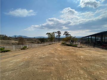 RANCHO EN EXPLOTACIÓN EN EL KM 29 OCOzOCOAUTLA - VILLAFLORES
