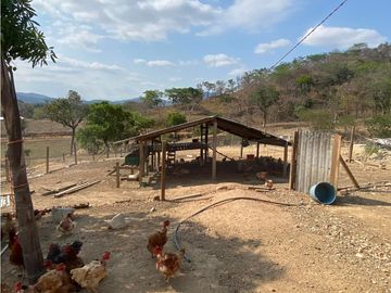 RANCHO EN EXPLOTACIÓN EN EL KM 29 OCOzOCOAUTLA - VILLAFLORES