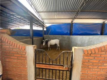 RANCHO EN EXPLOTACIÓN EN EL KM 29 OCOzOCOAUTLA - VILLAFLORES