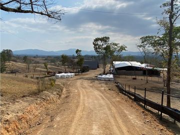 RANCHO EN EXPLOTACIÓN EN EL KM 29 OCOzOCOAUTLA - VILLAFLORES
