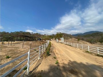 RANCHO EN EXPLOTACIÓN EN EL KM 29 OCOzOCOAUTLA - VILLAFLORES