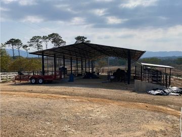 RANCHO EN EXPLOTACIÓN EN EL KM 29 OCOzOCOAUTLA - VILLAFLORES