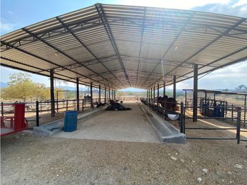 RANCHO EN EXPLOTACIÓN EN EL KM 29 OCOzOCOAUTLA - VILLAFLORES