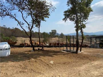 RANCHO EN EXPLOTACIÓN EN EL KM 29 OCOzOCOAUTLA - VILLAFLORES