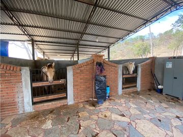 RANCHO EN EXPLOTACIÓN EN EL KM 29 OCOzOCOAUTLA - VILLAFLORES