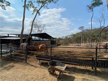 RANCHO EN EXPLOTACIÓN EN EL KM 29 OCOzOCOAUTLA - VILLAFLORES