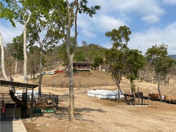 RANCHO EN EXPLOTACIÓN EN EL KM 29 OCOzOCOAUTLA - VILLAFLORES