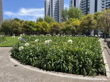 VENTA Lo Alto Torre 5 Bosque Real County Club Huixquilucan EDOMEX