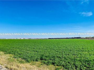 RANCHO DE 20 HAS AGRÍCOLA EN VENTA $14,000,000.00