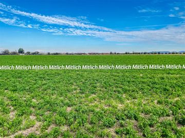 RANCHO DE 20 HAS AGRÍCOLA EN VENTA $14,000,000.00