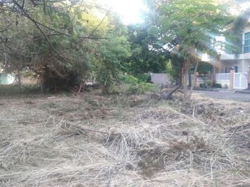 172 Sqm Lot for Sale in Villas Magallanes Basak Lapu-Lapu Cebu