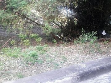 172 Sqm Lot for Sale in Villas Magallanes Basak Lapu-Lapu Cebu