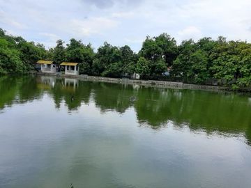 SARANG Walet Aktif Tanah Di Banyuwangi